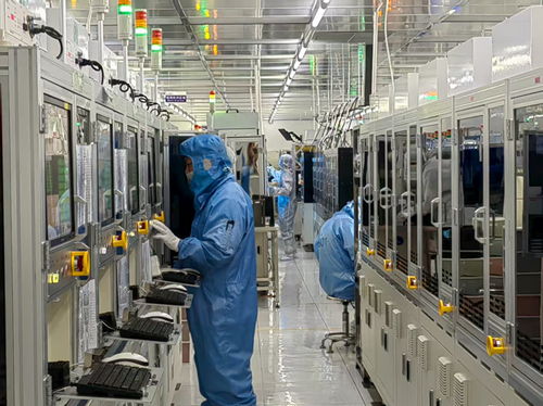 金融活水悉心澆灌，技術服務護航民營經濟滿帆前行